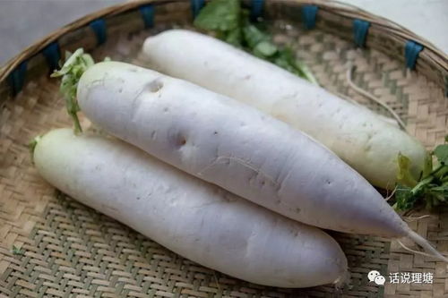 树生态农业新形象 理塘县举办生态农产品展销会助力农副产品销售